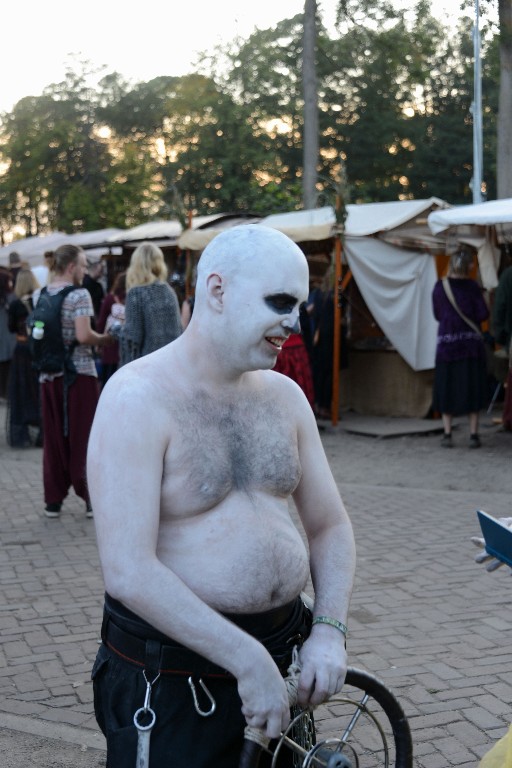 ../Images/Zaterdag Castlefest 2015 378.jpg